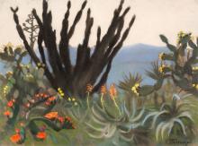 Cacti in Palermo